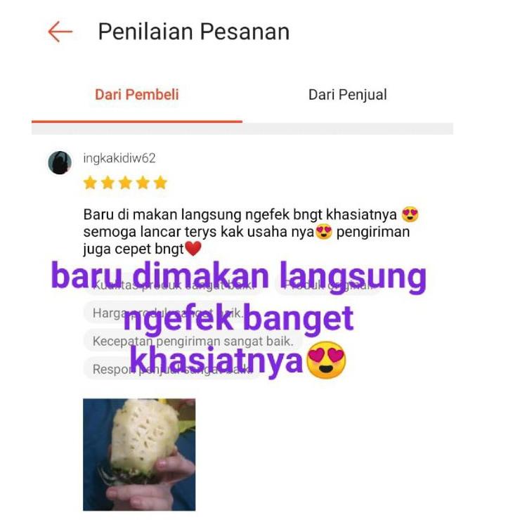

Terlarisss 100% ASLI NANAS MUDA Pelancar Haid BERGARANSI || ♫↕ 37-YY