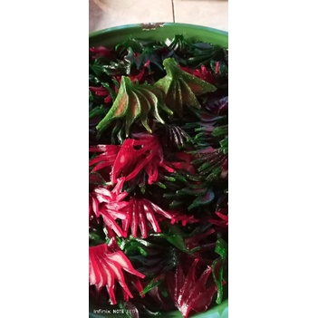 

kerupuk ikan warna warni bentuk pisang, dan anggur