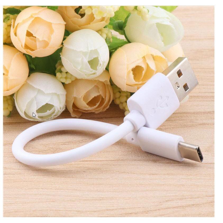 Kabel Data Pendek TYPE C / Kabel Data Sambung ke Powerbank/ Data Cable