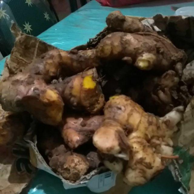 Rimpang Bangle / Panglai 1kg Obat Herbal