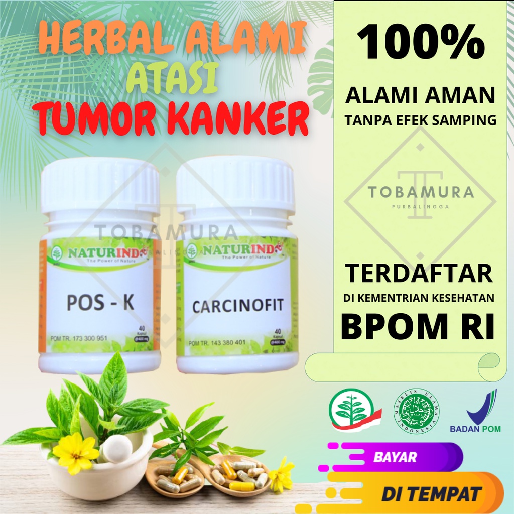 Obat Tumor Kanker Jinak Ganas Kangker Hati Kanker  Hati Otak Aman BPOM Herbal Alami Naturindo