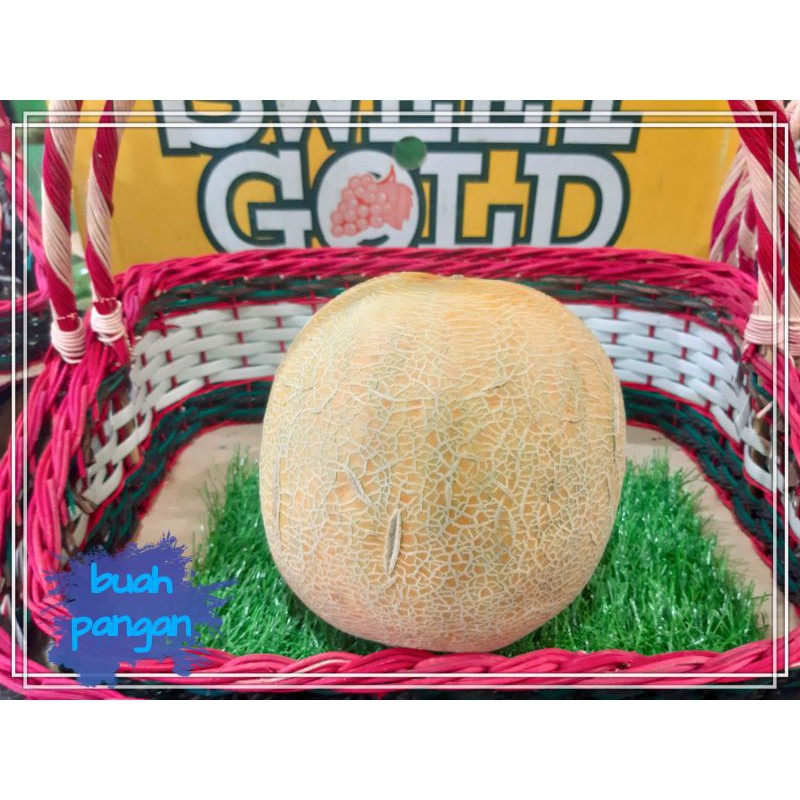 

melon madu ngawi super