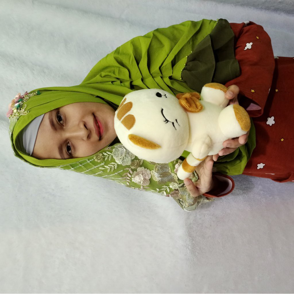 boneka Kucing cantik s murah