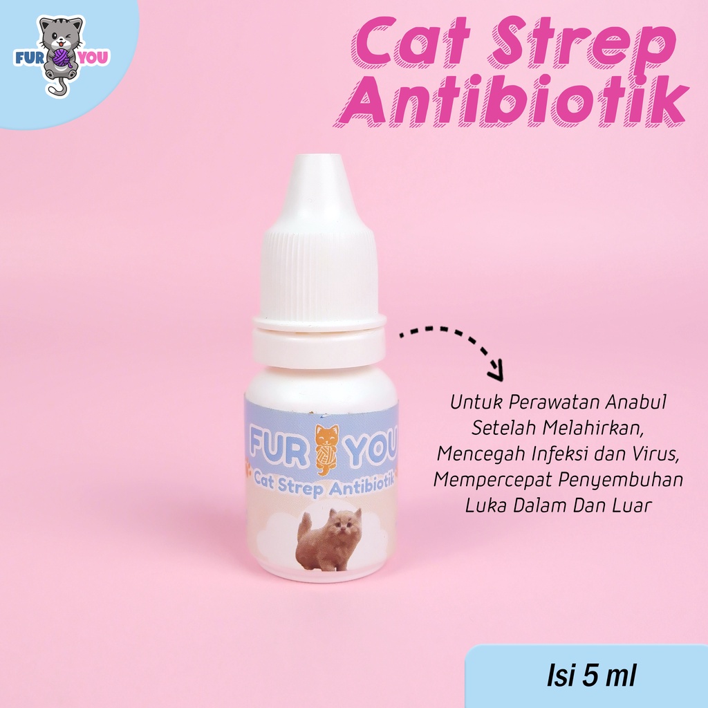 Fur you after birth obat sehabis melahirkan kucing