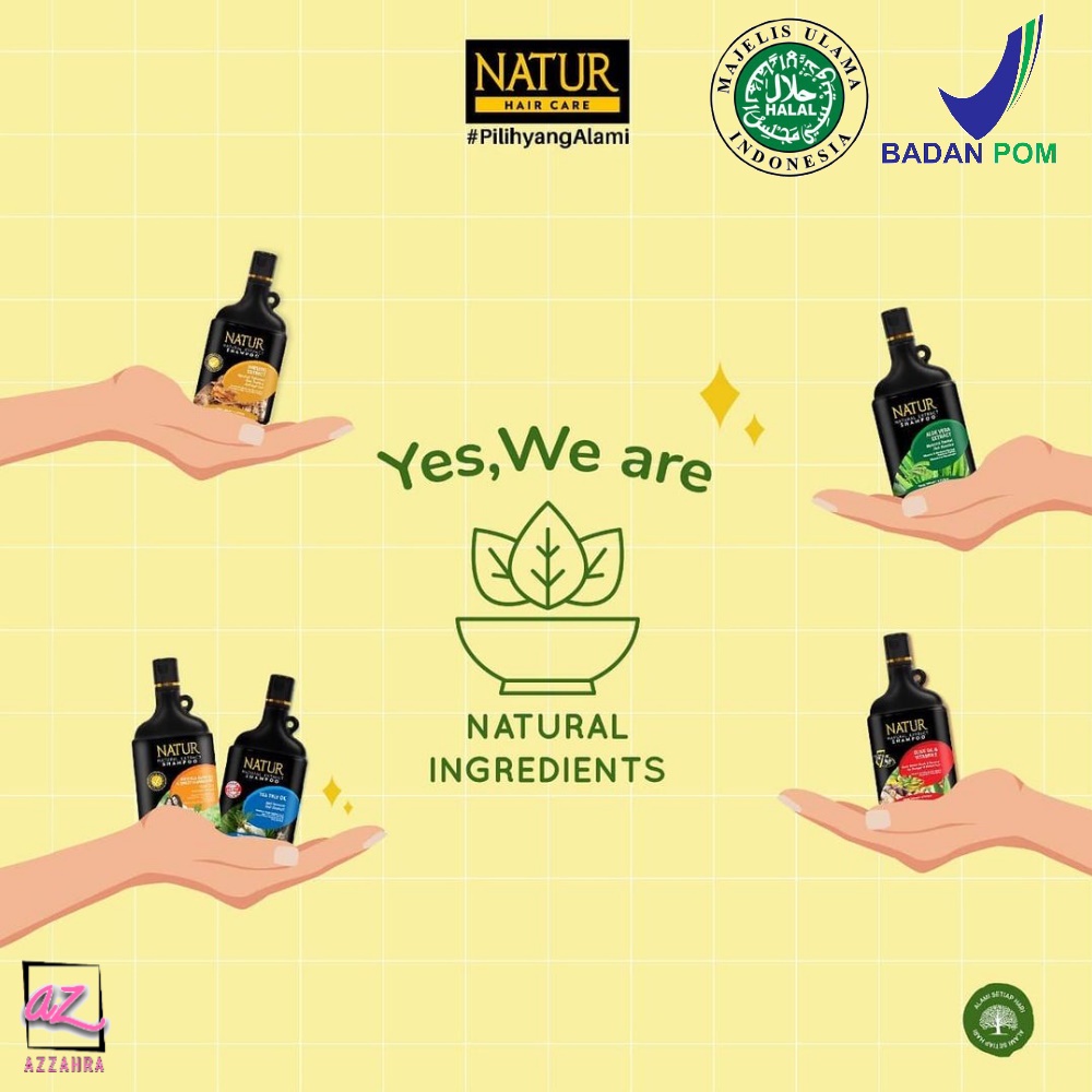 Natur Shampoo Aloe Vera | Ginseng | Tea Tree | Moringa | Olive Oil