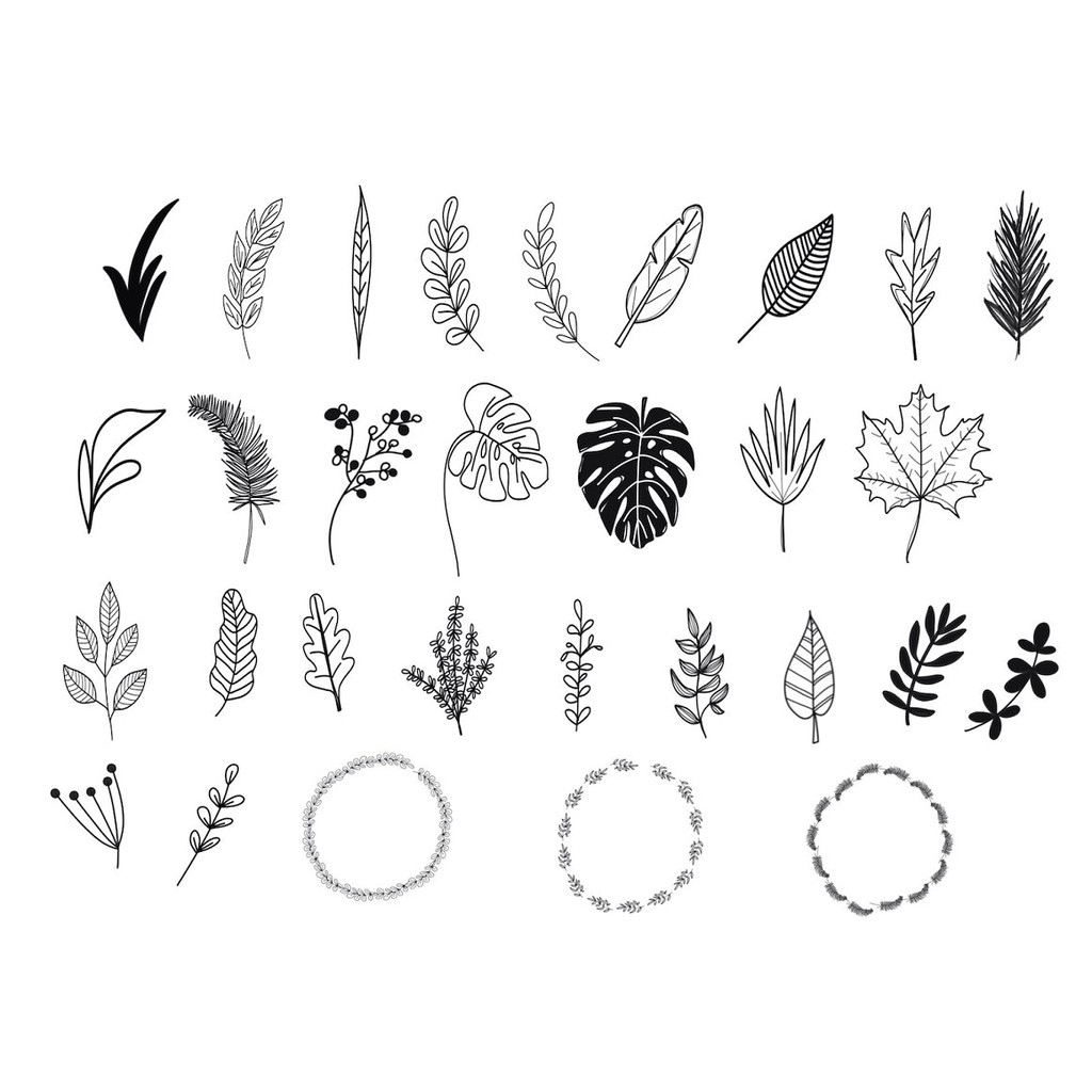 Procreate Brush - Tropical Leaves Stamps Procreate Deco Brush