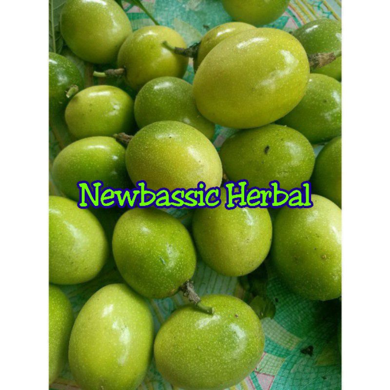 buah markisa fresh 1kg