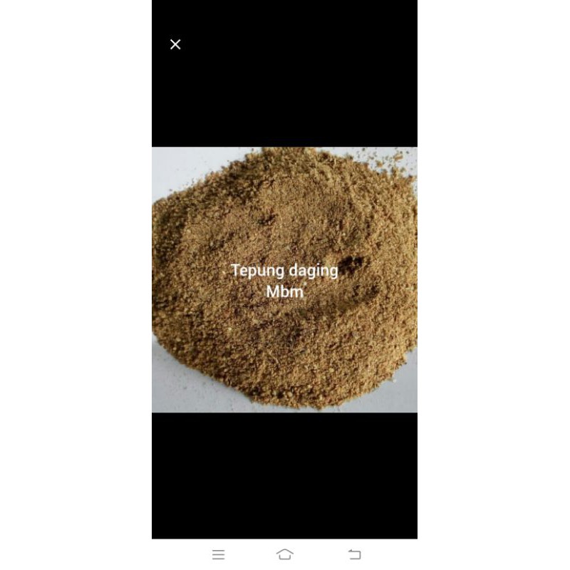tepung daging mbm untuk pakan ternak