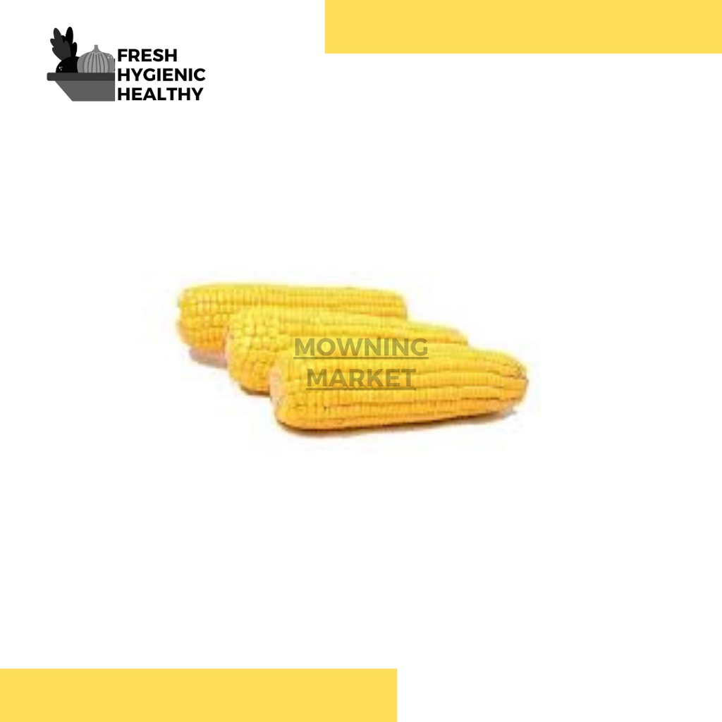 

JAGUNG
