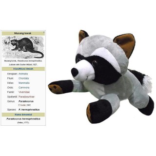 Boneka Hewan Boneka Musang Boneka Pandan Favorit Shopee Indonesia