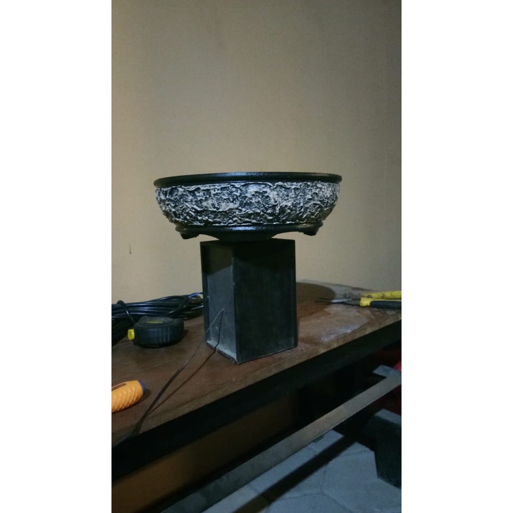 Pot Bonsai unik