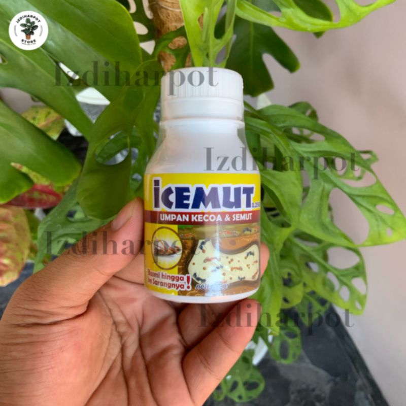 ICEMUT 0.25 GR 20 GRAM UMPAN KECOA SEMUT INSEKTISIDA - ICEMUT 0.25 GR