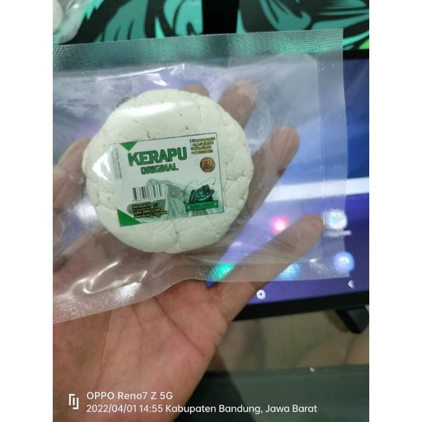 Ss kerapu umpan ikan mas