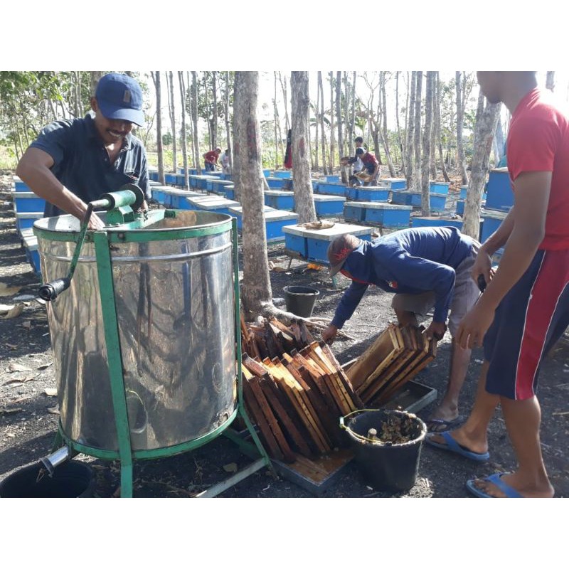 

Madu murni multiflora