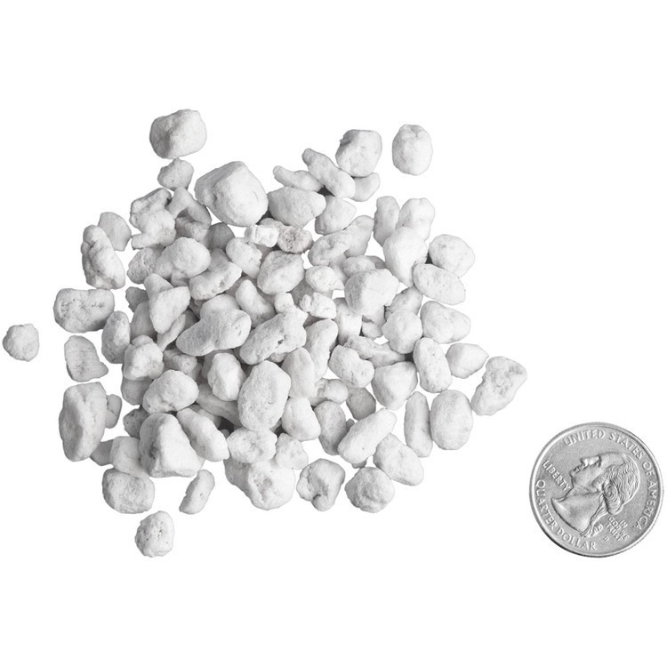 MEDIA TANAM PERLITE 100GR