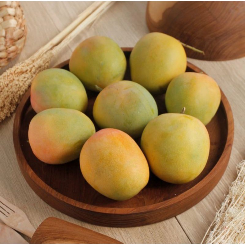 

MANGGA GEDONG GINCU / GEDONG GINCU / MANGGA GINCU MANIS / GEDONG GINCU MANIS