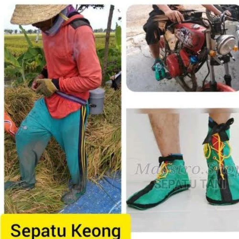 Sepatu Sawah Anti keong versi sepatu sawah anti keong