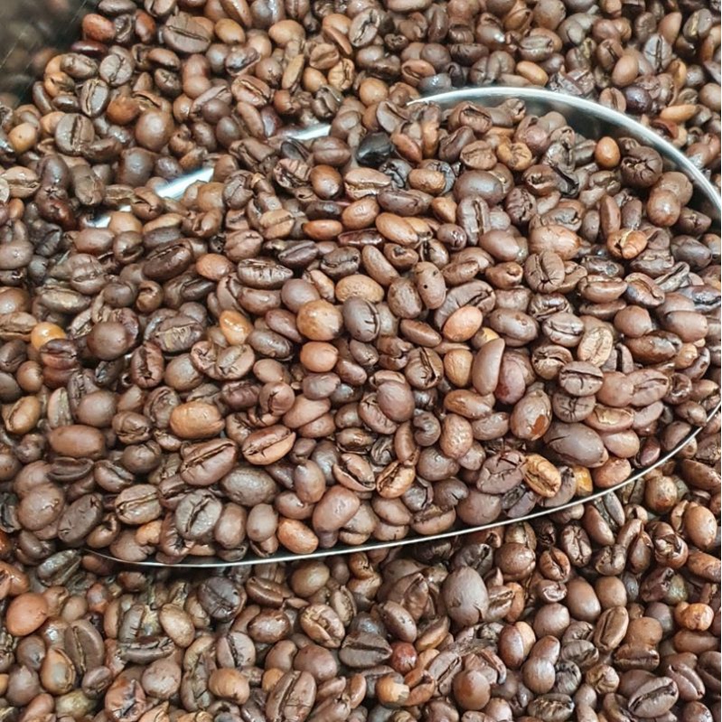 

KOPI NANGKA / KUNING JAWA EXCELSA 250 GRAM