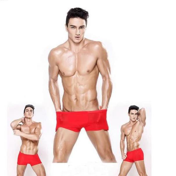 [[BISA COD]] 【Banyak Peminat,, Boxer Underwear celana dalam pria sexy seamless panties CD lace