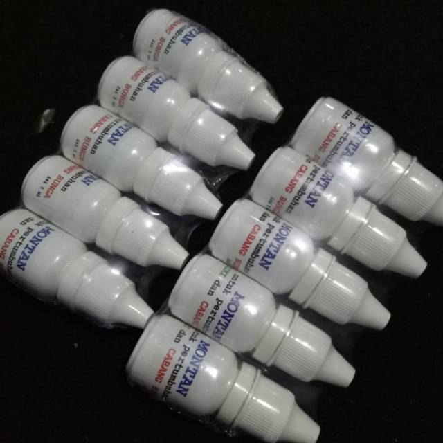 Montan - agar anggrek berbunga