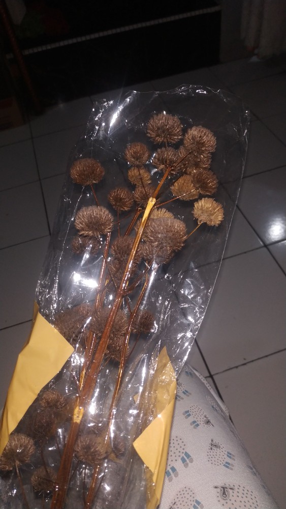 Aneka Bunga Kering/ Dried Flower/ Bunga Kering