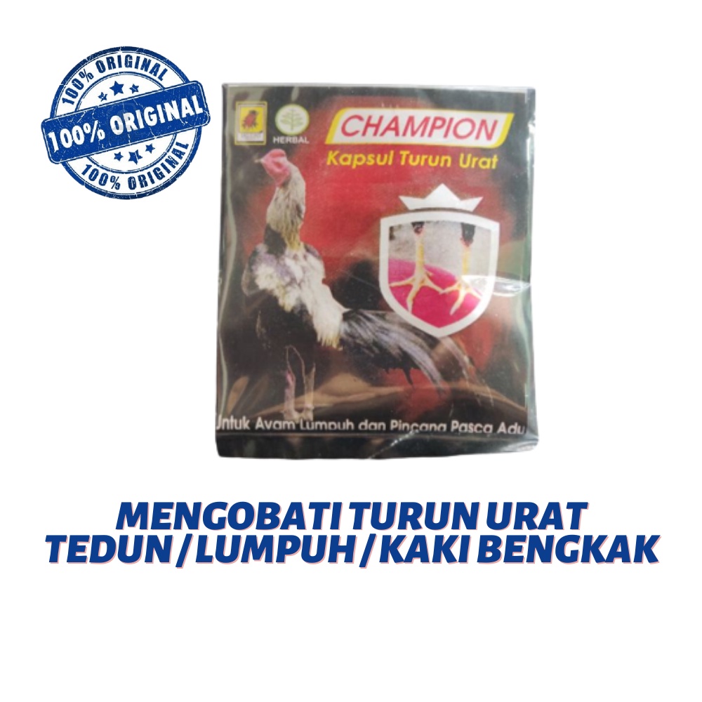 JALU AJI Champion - Turun urat - pincang / lumpuh ayam