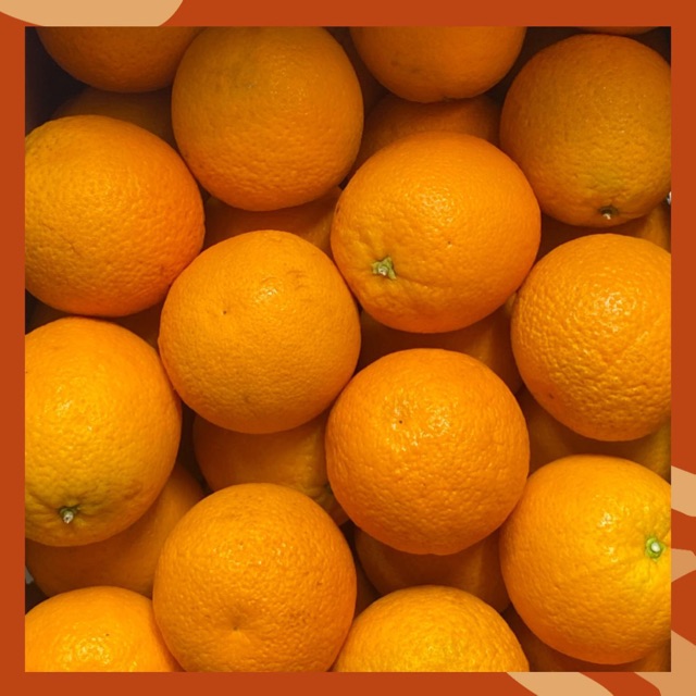 

Jeruk sunkist valencia