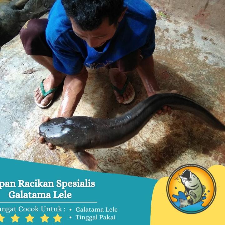 Bagus Banget.. Umpan Pancing Jitu Lele Galatama Gt Harian Lomba Lele Terbaik Siap Pakai