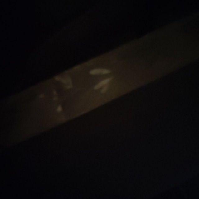 Tang Kakaktua Bison 10 / Gegep Catut Cabut Paku / Tower Pincher