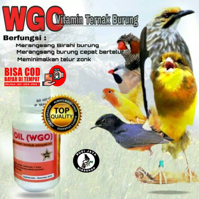 WGO BOTOL PUTIH KARDUS KUNING SUPLEMEN DOPING VITAMIN TERNAK SEMUA BURUNG WHEAT GERM OIL MINYAK GAND