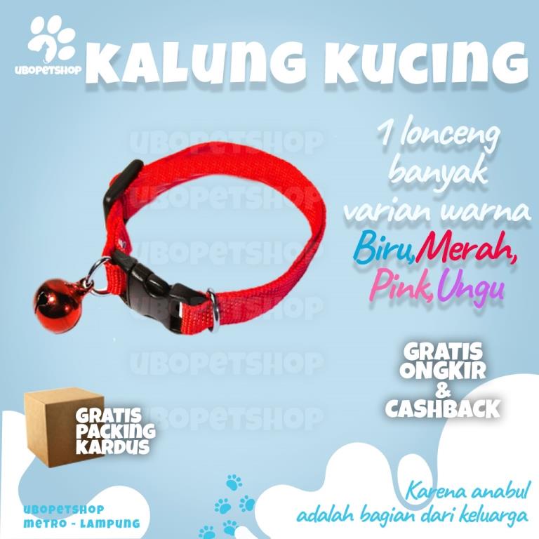 Kalung Kucing Polos lonceng berbagai varian warna ubopetshop