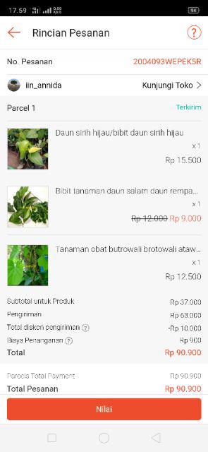 Bibit Butrowali Bibit Tanaman Butrowali Bibit Benih Tanaman Butrowali