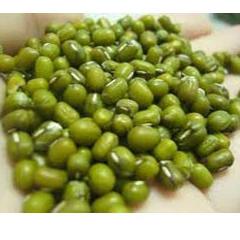 

Laris FJMPR Kacang Hijau Import Australia Large Green Mung Beans 500g 48