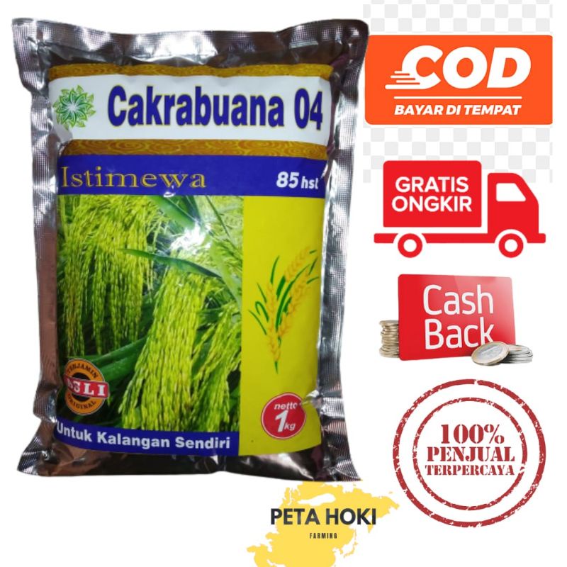 benih padi cakrabuana 04
