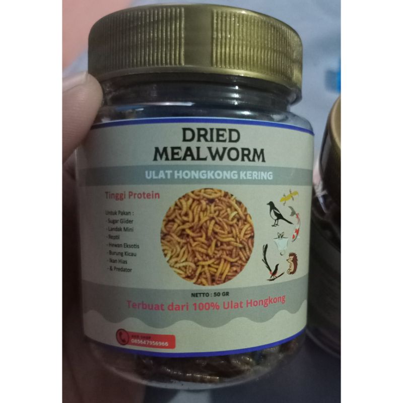 Jual ULAT HONGKONG KERING DRIED MEALWORM Ulat Hongkong Kering