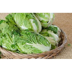 Benih Sawi Putih Biji Sawi Putih Bibit Sawi Putih Leony Panah Merah - Kemasan Repack