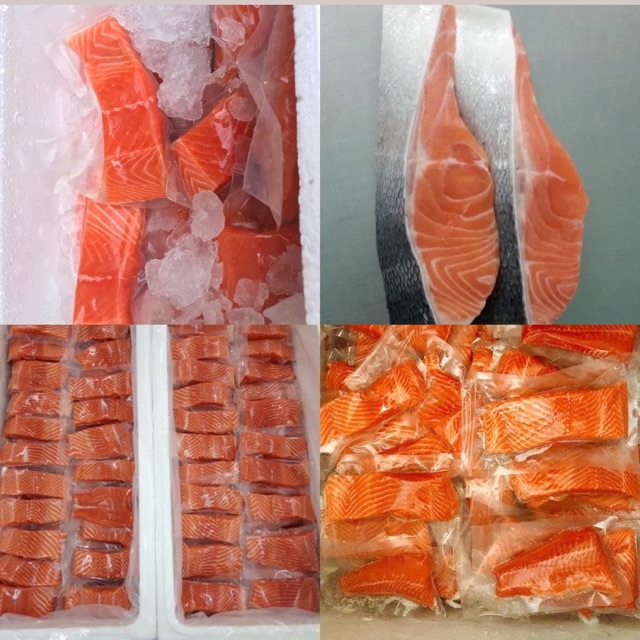 

Salmon freshhh