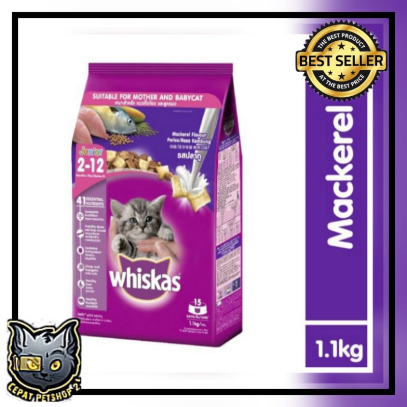 whiskas junior mackerel 1,1kg freshpack / makanan kucing whiskas junior mackerel