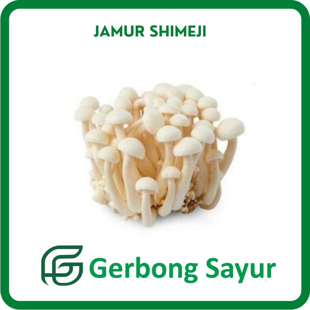 

Jamur Shimeji Segar - 100g