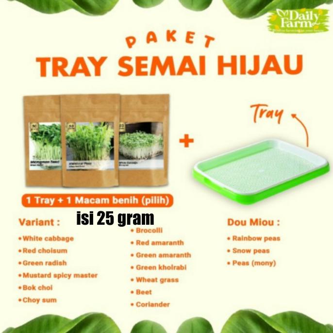 Paket Microgreen Tray Semai Hijau + Benih Microgreen ukuran besar