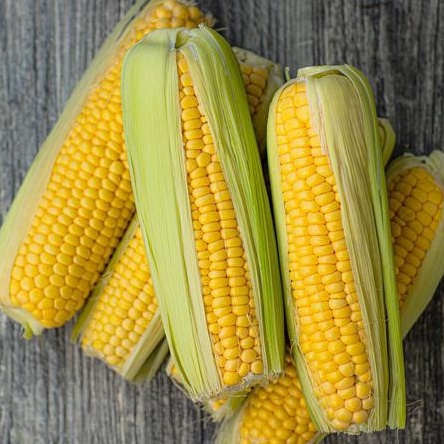 

Jagung Manis 1pcs