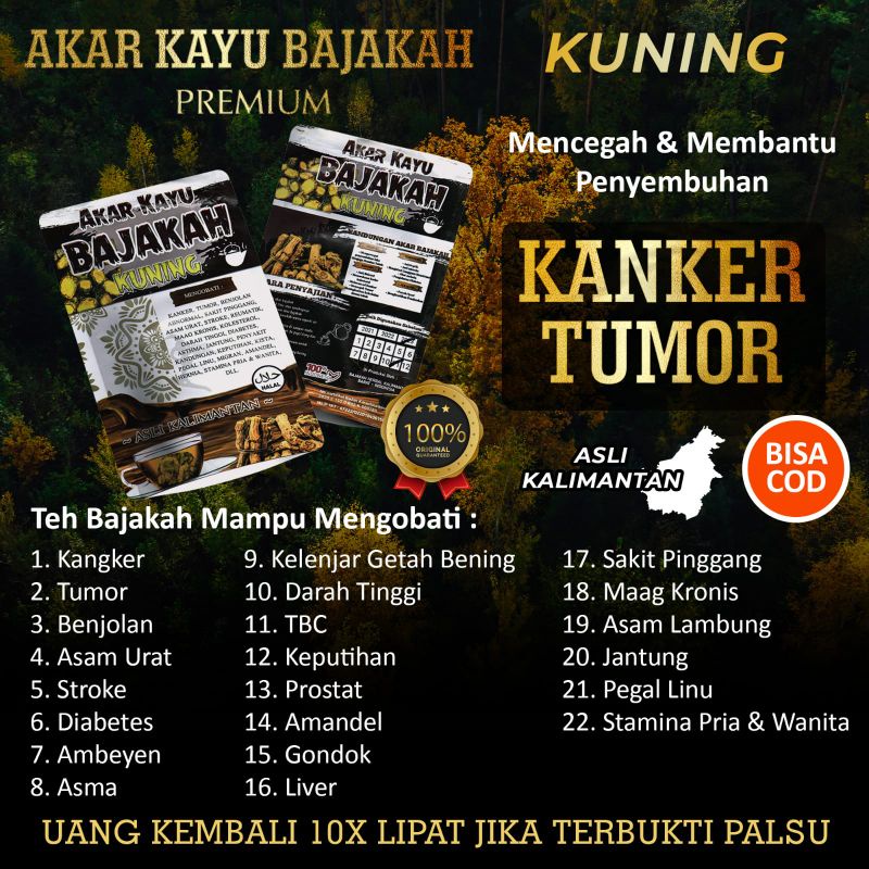 

AKAR BAJAKAH TAMPALA ASLI KALIMANTAN / AKAR BAJAKAH KUNING / TEH BAJAKAH ASLI KALIMANTAN ORIGINAL