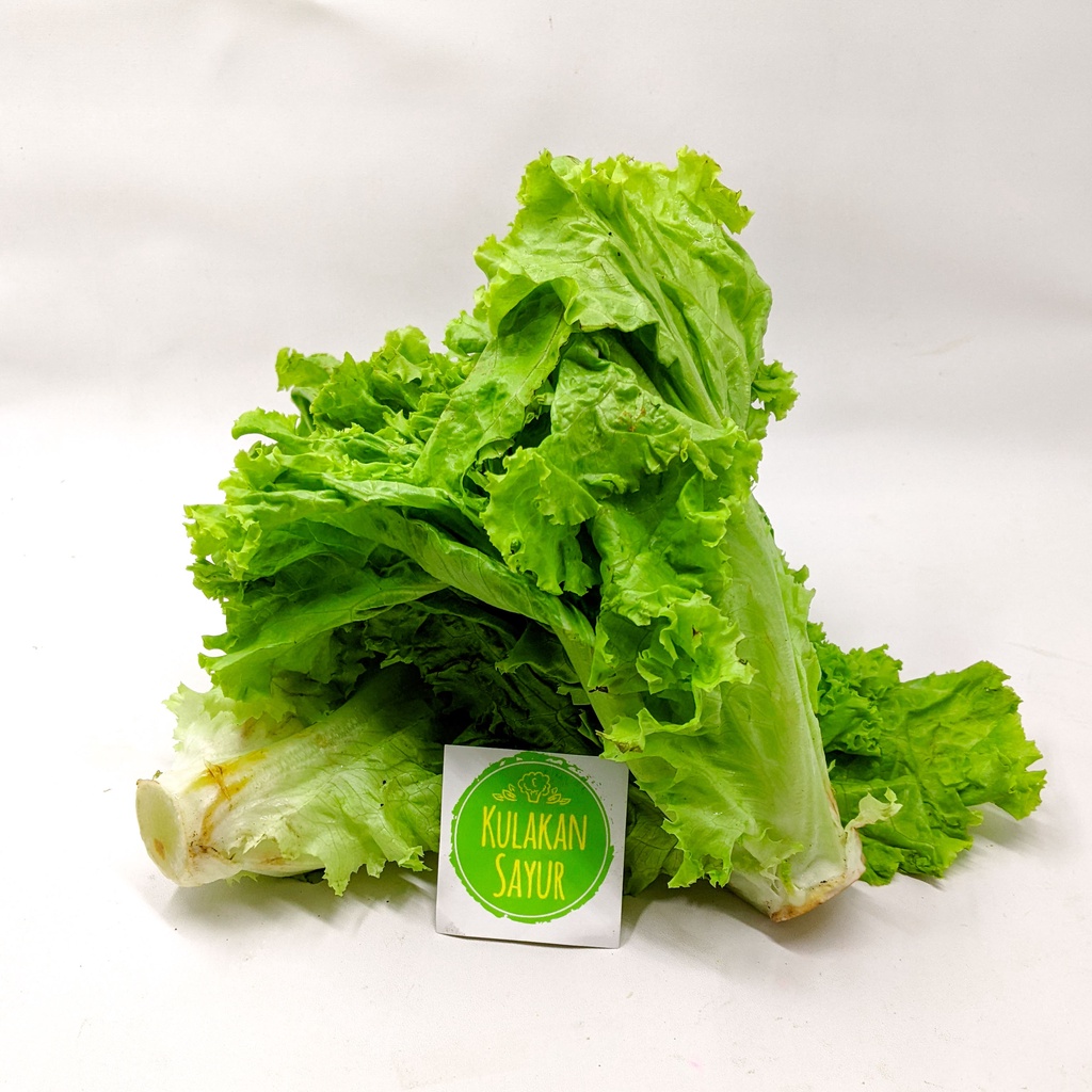

Selada Keriting [250gr] - Kulakan Sayur