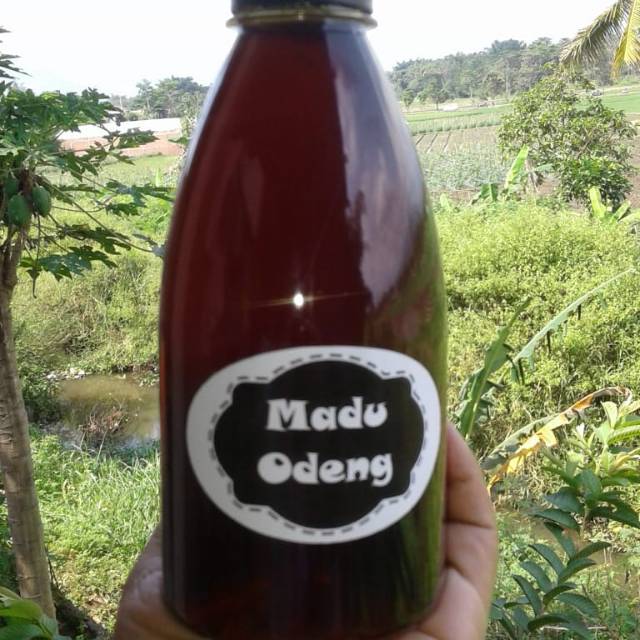 

Madu Odeng