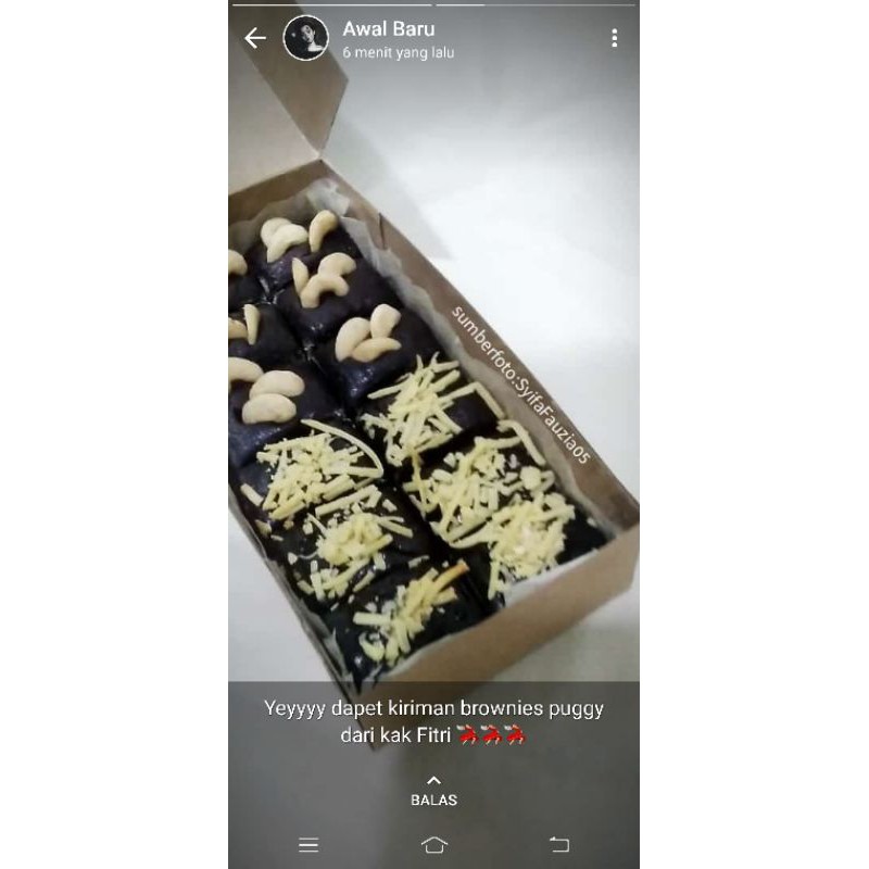 

brownies puggy bunda ve3