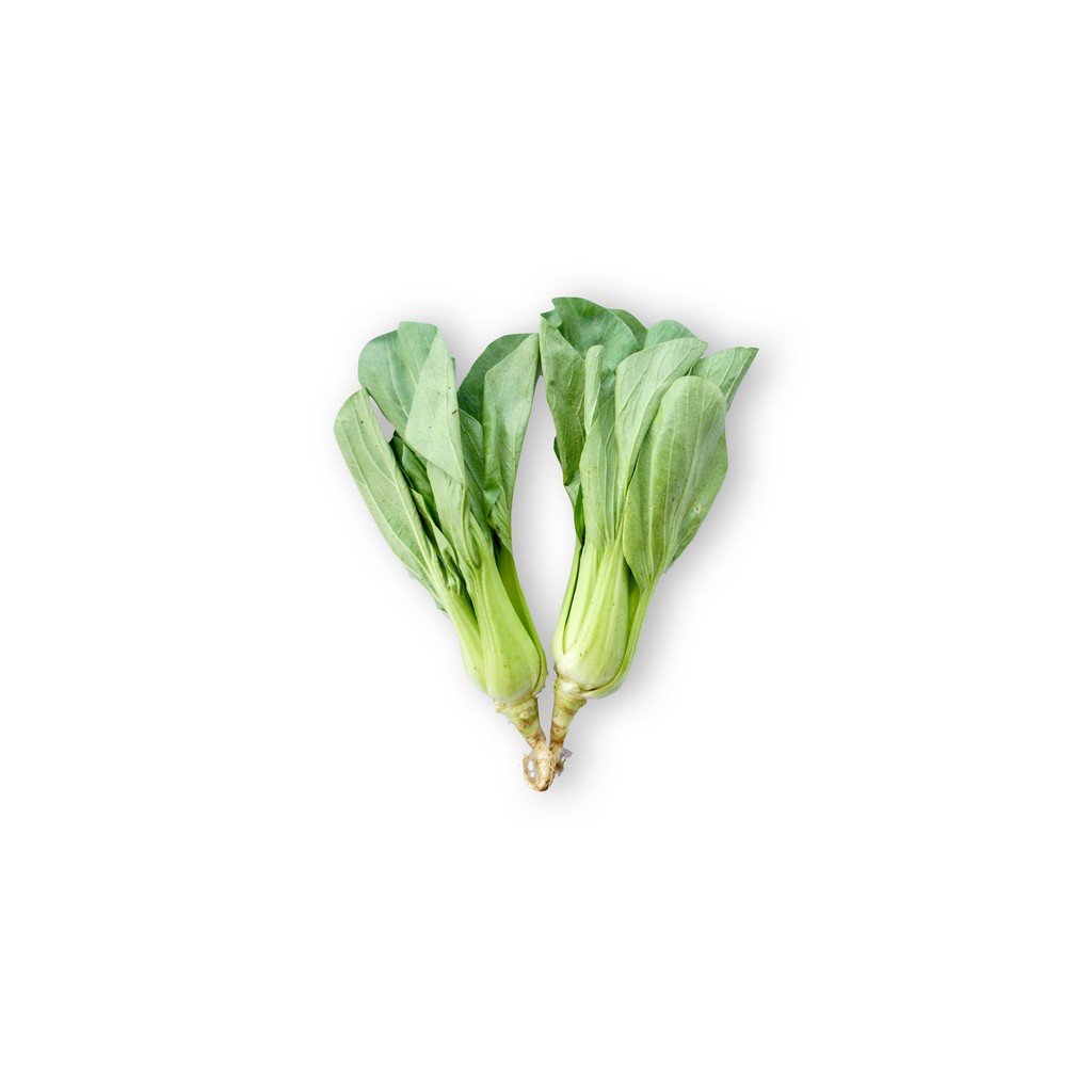 

SAYUR ORGANIK Pak Choy