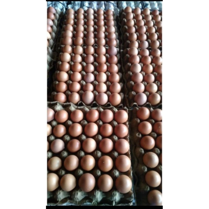 

Telur ayam /kg
