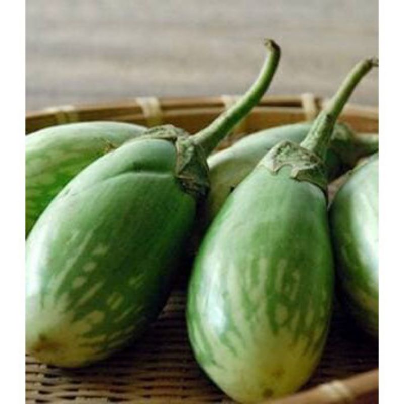 50 Benih Unggul Terong Pondoh Lurik