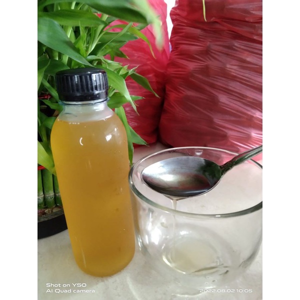 

kitjiu/sonkit/jeruk kasturi minuman segar