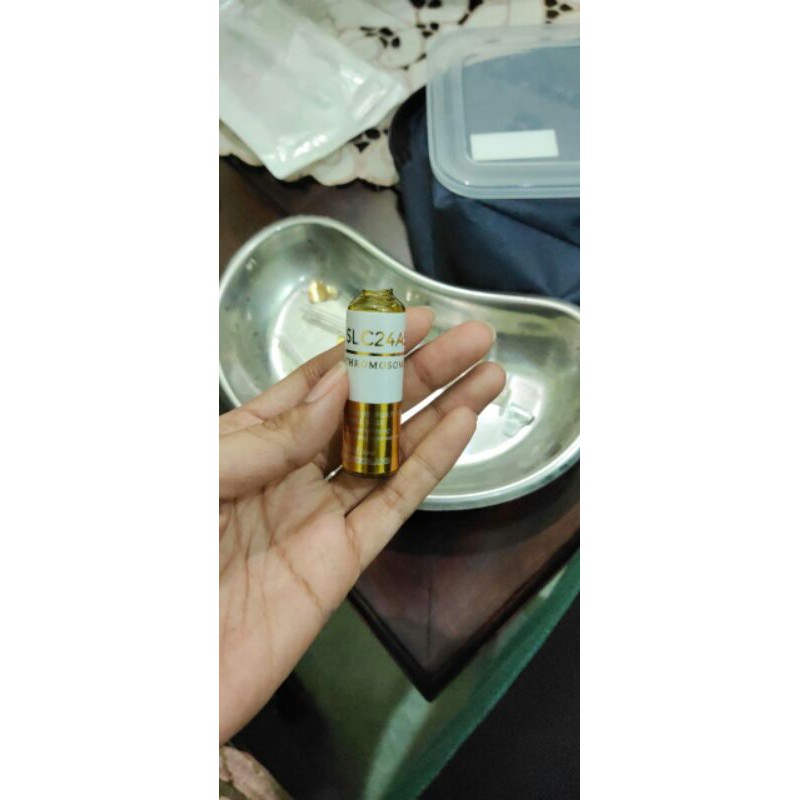 SLC24A5 CHROMOSOME GOLD ECER KROMOSOM GOLD ECER 20Mili